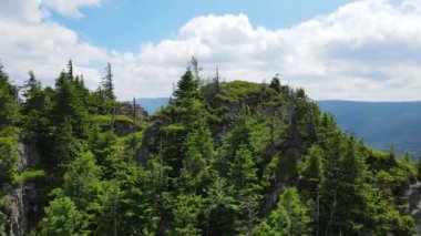 Yükselen kaya oluşumları, Almanya 'daki Sakson İsviçre Dağları' nda açık bir gökyüzünün altında yemyeşil bir ormanın ortasında duruyor..
