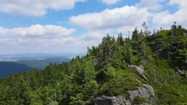 Yükselen kaya oluşumları, Almanya 'daki Sakson İsviçre Dağları' nda açık bir gökyüzünün altında yemyeşil bir ormanın ortasında duruyor..