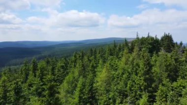 Yükselen kaya oluşumları, Almanya 'daki Sakson İsviçre Dağları' nda açık bir gökyüzünün altında yemyeşil bir ormanın ortasında duruyor..