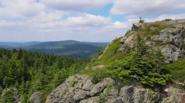 Yükselen kaya oluşumları, Almanya 'daki Sakson İsviçre Dağları' nda açık bir gökyüzünün altında yemyeşil bir ormanın ortasında duruyor..