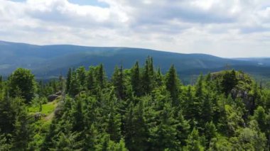 Yükselen kaya oluşumları, Almanya 'daki Sakson İsviçre Dağları' nda açık bir gökyüzünün altında yemyeşil bir ormanın ortasında duruyor..