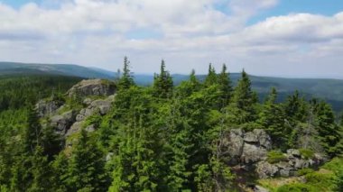Yükselen kaya oluşumları, Almanya 'daki Sakson İsviçre Dağları' nda açık bir gökyüzünün altında yemyeşil bir ormanın ortasında duruyor..