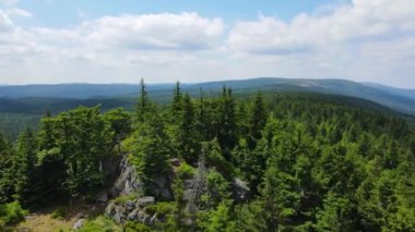 Yükselen kaya oluşumları, Almanya 'daki Sakson İsviçre Dağları' nda açık bir gökyüzünün altında yemyeşil bir ormanın ortasında duruyor..