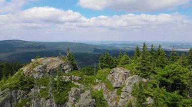 Yükselen kaya oluşumları, Almanya 'daki Sakson İsviçre Dağları' nda açık bir gökyüzünün altında yemyeşil bir ormanın ortasında duruyor..