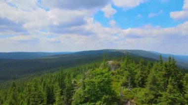 Yükselen kaya oluşumları, Almanya 'daki Sakson İsviçre Dağları' nda açık bir gökyüzünün altında yemyeşil bir ormanın ortasında duruyor..