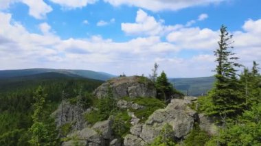 Yükselen kaya oluşumları, Almanya 'daki Sakson İsviçre Dağları' nda açık bir gökyüzünün altında yemyeşil bir ormanın ortasında duruyor..