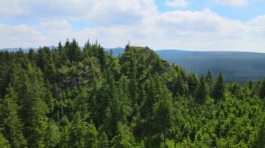 Yükselen kaya oluşumları, Almanya 'daki Sakson İsviçre Dağları' nda açık bir gökyüzünün altında yemyeşil bir ormanın ortasında duruyor..