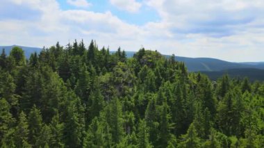 Yükselen kaya oluşumları, Almanya 'daki Sakson İsviçre Dağları' nda açık bir gökyüzünün altında yemyeşil bir ormanın ortasında duruyor..