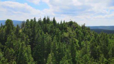 Yükselen kaya oluşumları, Almanya 'daki Sakson İsviçre Dağları' nda açık bir gökyüzünün altında yemyeşil bir ormanın ortasında duruyor..