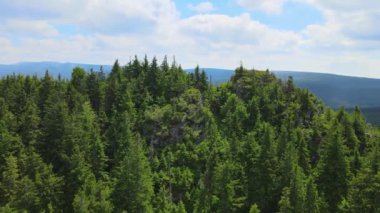 Yükselen kaya oluşumları, Almanya 'daki Sakson İsviçre Dağları' nda açık bir gökyüzünün altında yemyeşil bir ormanın ortasında duruyor..