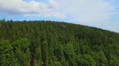 Dağlar, Almanya 'nın Bavyera ağaçlarının üzerinden uçuyor.