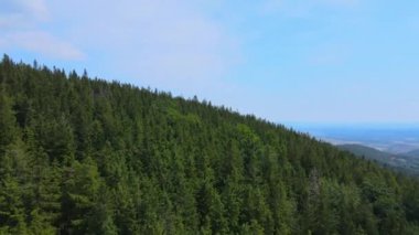 Dağlar, Almanya 'nın Bavyera ağaçlarının üzerinden uçuyor.