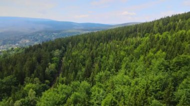 Dağlar, Almanya 'nın Bavyera ağaçlarının üzerinden uçuyor.