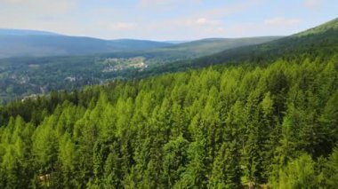 Dağlar, Almanya 'nın Bavyera ağaçlarının üzerinden uçuyor.