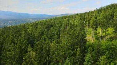 Dağlar, Almanya 'nın Bavyera ağaçlarının üzerinden uçuyor.