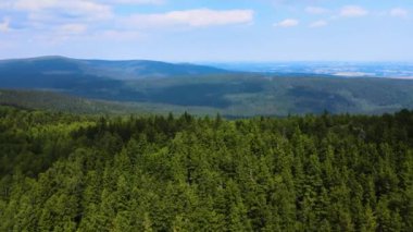 Dağlar, Almanya 'nın Bavyera ağaçlarının üzerinden uçuyor.