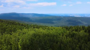Dağlar, Almanya 'nın Bavyera ağaçlarının üzerinden uçuyor.