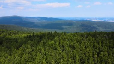 Dağlar, Almanya 'nın Bavyera ağaçlarının üzerinden uçuyor.