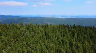 Dağlar, Almanya 'nın Bavyera ağaçlarının üzerinden uçuyor.