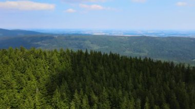 Dağlar, Almanya 'nın Bavyera ağaçlarının üzerinden uçuyor.