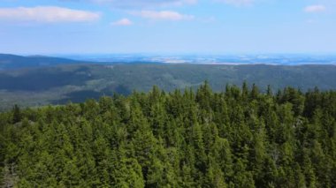 Dağlar, Almanya 'nın Bavyera ağaçlarının üzerinden uçuyor.