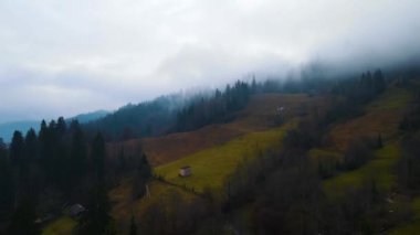 Sisli tepe kozalaklı orman dağı drone görüntüsü