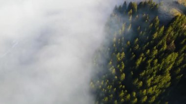 Sis dağları orman drone görüntüsü uçuyor