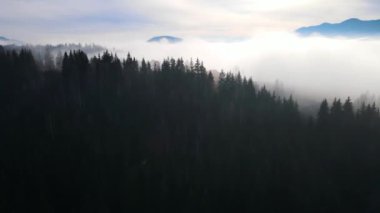 Sis dağları orman drone görüntüsü uçuyor