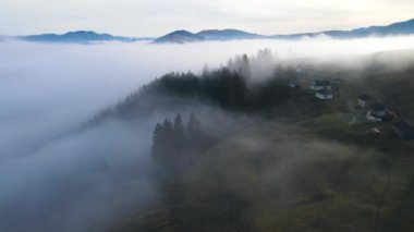 Sis dağları orman drone görüntüsü uçuyor