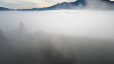 Sis dağları orman drone görüntüsü uçuyor