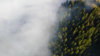 Sis dağları orman drone görüntüsü uçuyor