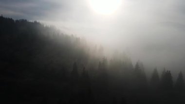 Sis dağları orman drone görüntüsü uçuyor