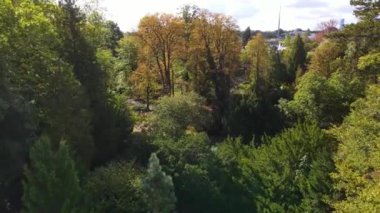 Sonbahar parkı eğlencesi insansız hava aracı Polonya Wroclaw ile doğa manzarası yerleştirdi