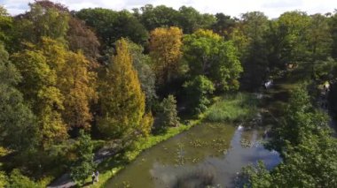 Sonbahar parkı eğlencesi insansız hava aracı Polonya Wroclaw ile doğa manzarası yerleştirdi