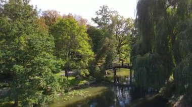 Doğa parkı eğlencesi insansız hava aracı uçuşu Japonya