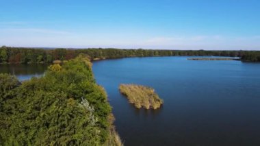 Sazan Balığı Tarım Gölü Nowe Grodzisk Peyzaj Parkı Polonya