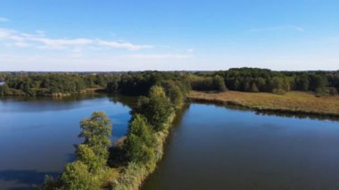 Sazan Balığı Tarım Gölü Nowe Grodzisk Peyzaj Parkı Polonya