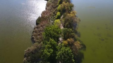 Sazan Balığı Tarım Gölü Nowe Grodzisk Peyzaj Parkı Polonya