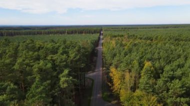 Kozalaklı kozalaklı orman çam uçakları Polonya İHA 'sı