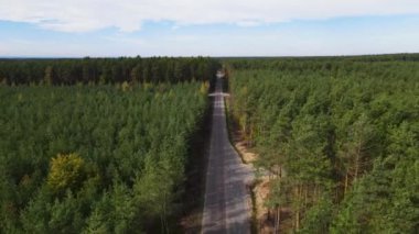 Kozalaklı kozalaklı orman çam uçakları Polonya İHA 'sı