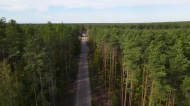 Kozalaklı kozalaklı orman çam uçakları Polonya İHA 'sı