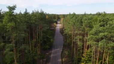 Kozalaklı kozalaklı orman çam uçakları Polonya İHA 'sı