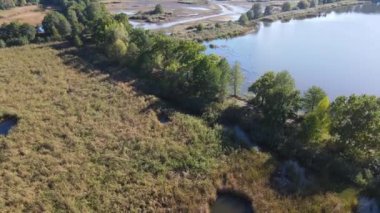 Balıkçılık göl manzaralı Nowe Grodzisko Peyzaj Parkı Polonya