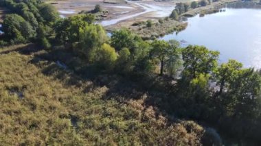 Balıkçılık göl manzaralı Nowe Grodzisko Peyzaj Parkı Polonya