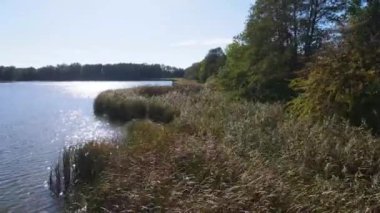 Balıkçılık göl manzaralı Nowe Grodzisko Peyzaj Parkı Polonya