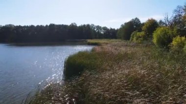 Balıkçılık göl manzaralı Nowe Grodzisko Peyzaj Parkı Polonya