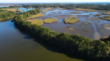 Balıkçılık göl manzaralı Nowe Grodzisko Peyzaj Parkı Polonya