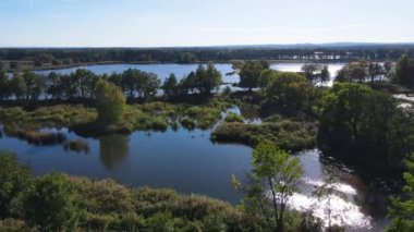 Balıkçılık göl manzaralı Nowe Grodzisko Peyzaj Parkı Polonya