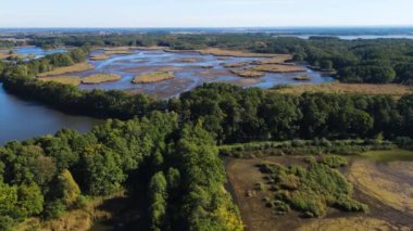 Balıkçılık göl manzaralı Nowe Grodzisko Peyzaj Parkı Polonya