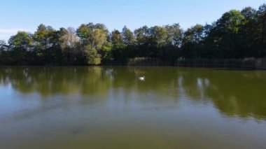 Balıkçılık göl manzaralı Nowe Grodzisko Peyzaj Parkı Polonya